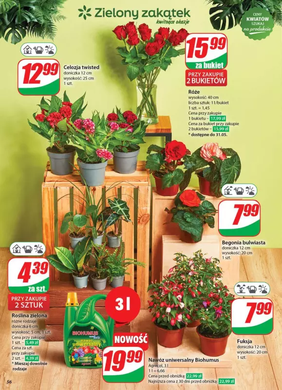 Dino - gazetka promocyjna Gazetka od środy 28.05 do wtorku 03.06 - strona 56