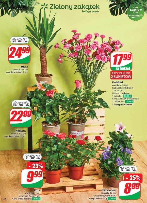 Dino - gazetka promocyjna Gazetka od środy 04.06 do wtorku 10.06 - strona 54
