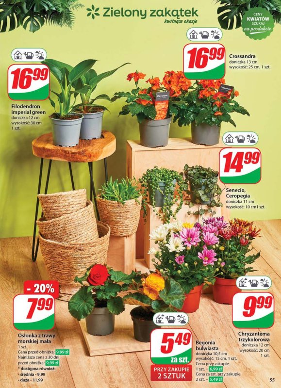 Dino - gazetka promocyjna Gazetka od środy 04.06 do wtorku 10.06 - strona 55