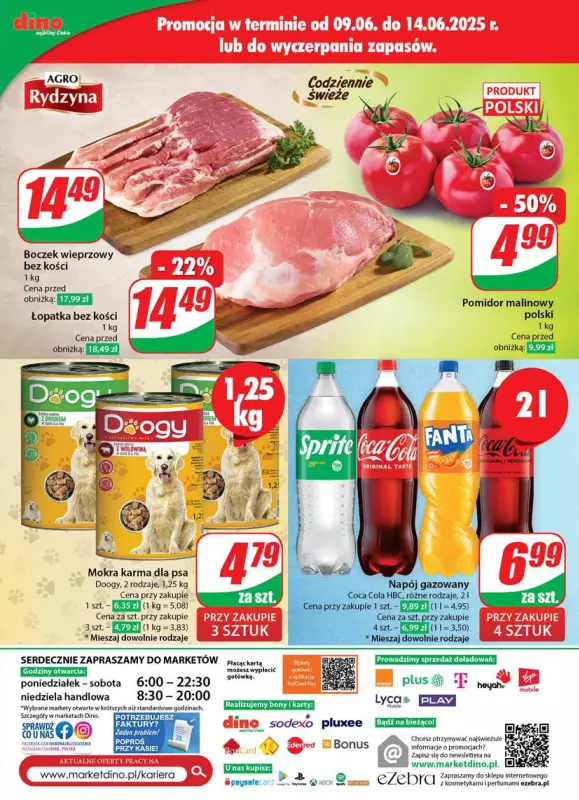 Dino - gazetka promocyjna Gazetka od środy 11.06 do wtorku 17.06 - strona 73