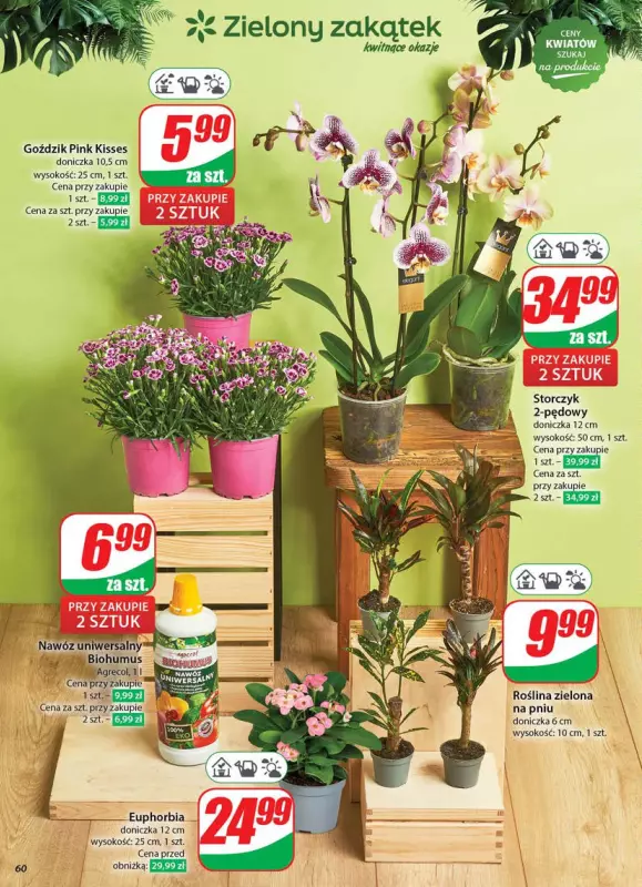 Dino - gazetka promocyjna Gazetka od środy 11.06 do wtorku 17.06 - strona 60