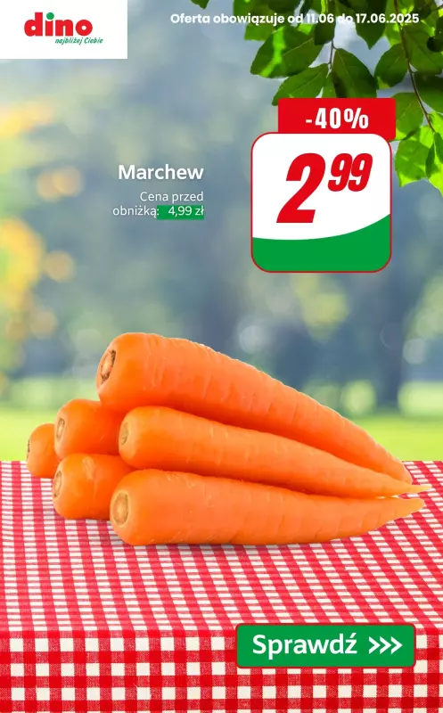 Dino - gazetka promocyjna Warzywa i owoce do -40% od czwartku 12.06 do wtorku 17.06 - strona 6