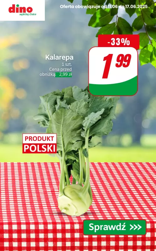 Dino - gazetka promocyjna Warzywa i owoce do -40% od czwartku 12.06 do wtorku 17.06 - strona 9