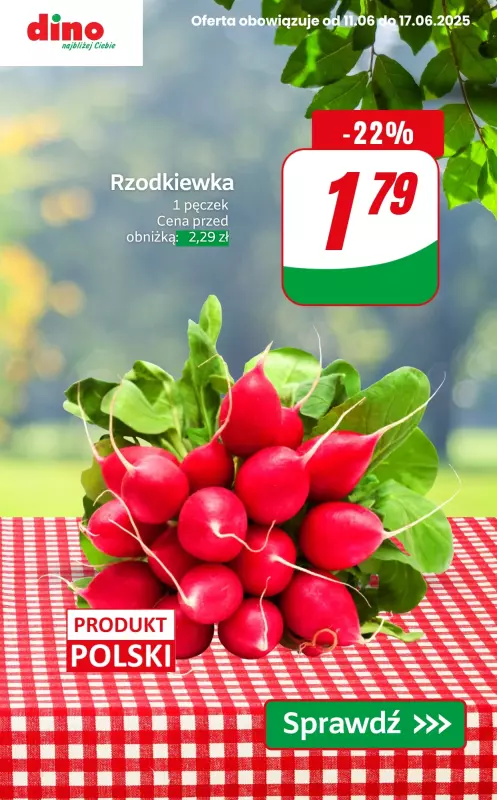 Dino - gazetka promocyjna Warzywa i owoce do -40% od czwartku 12.06 do wtorku 17.06 - strona 7