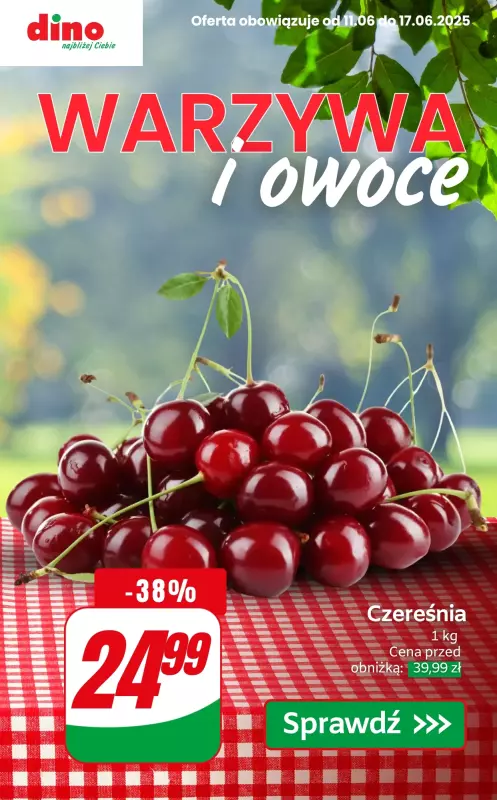 Dino - gazetka promocyjna Warzywa i owoce do -40% od czwartku 12.06 do wtorku 17.06