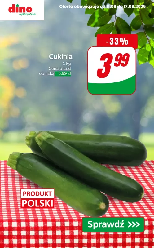 Dino - gazetka promocyjna Warzywa i owoce do -40% od czwartku 12.06 do wtorku 17.06 - strona 8
