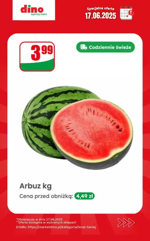 Dino - gazetka promocyjna Specjalna oferta na 17.06.2025 - promocje spoza gazetki   - strona 3
