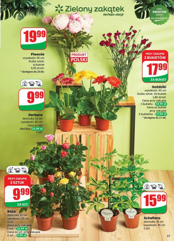 Dino - gazetka promocyjna Gazetka od środy 18.06 do wtorku 24.06 - strona 57