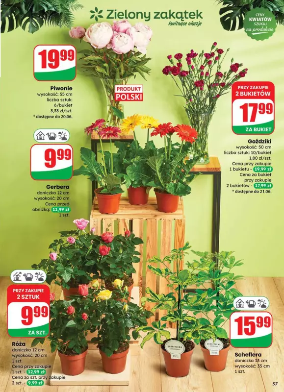 Dino - gazetka promocyjna Gazetka od środy 18.06 do wtorku 24.06 - strona 57