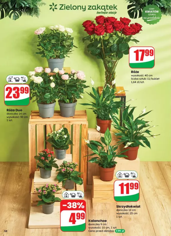 Dino - gazetka promocyjna Gazetka od środy 18.06 do wtorku 24.06 - strona 58