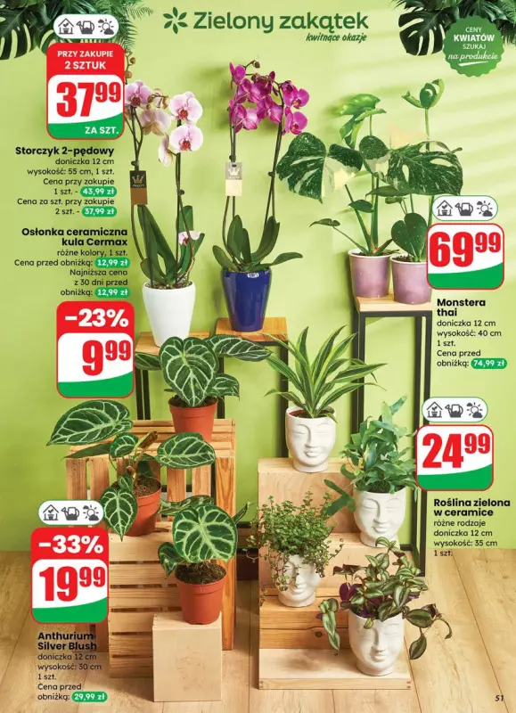 Dino - gazetka promocyjna Gazetka od środy 25.06 do wtorku 01.07 - strona 51