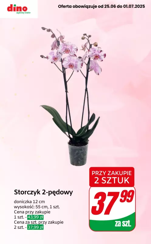 Dino - gazetka promocyjna Upominki dla nauczyciela   - strona 3