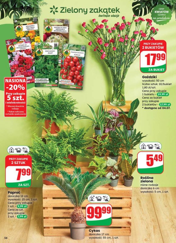 Dino - gazetka promocyjna Gazetka od środy 02.07 do wtorku 08.07 - strona 56