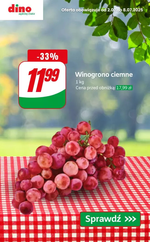 Dino - gazetka promocyjna Najlepsze PROMOCJE! od środy 02.07 do wtorku 08.07 - strona 8