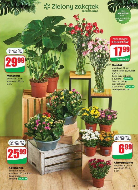 Dino - gazetka promocyjna Gazetka od środy 09.07 do wtorku 15.07 - strona 53