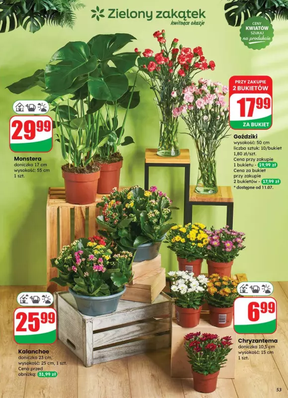 Dino - gazetka promocyjna Gazetka od środy 09.07 do wtorku 15.07 - strona 53