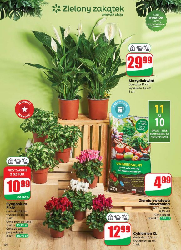 Dino - gazetka promocyjna Gazetka od środy 09.07 do wtorku 15.07 - strona 54