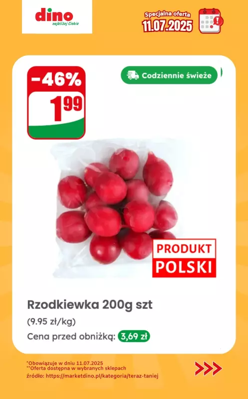 Dino - gazetka promocyjna Specjalna oferta na 11.07.2025 - promocje spoza gazetki   - strona 3