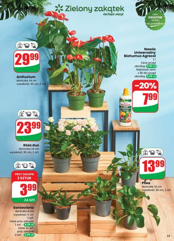 Dino - gazetka promocyjna Gazetka od środy 16.07 do wtorku 22.07 - strona 53