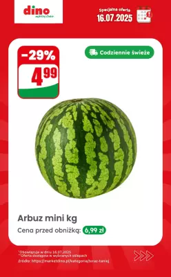 Dino - gazetka promocyjna Specjalna oferta na 16.07.2025 - promocje spoza gazetki od środy 16.07 do środy 16.07 - strona 2