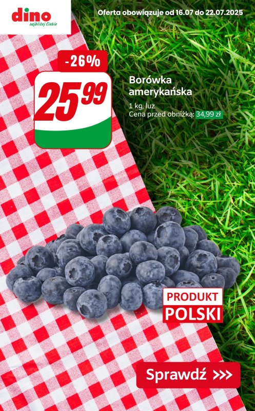 Dino - gazetka promocyjna Czas na PIKNIK od czwartku 17.07 do wtorku 22.07 - strona 6