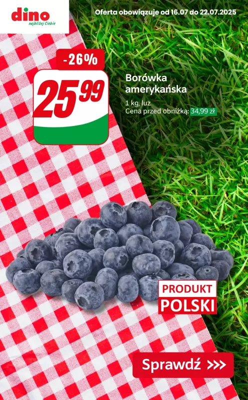 Dino - gazetka promocyjna Czas na PIKNIK od czwartku 17.07 do wtorku 22.07 - strona 6