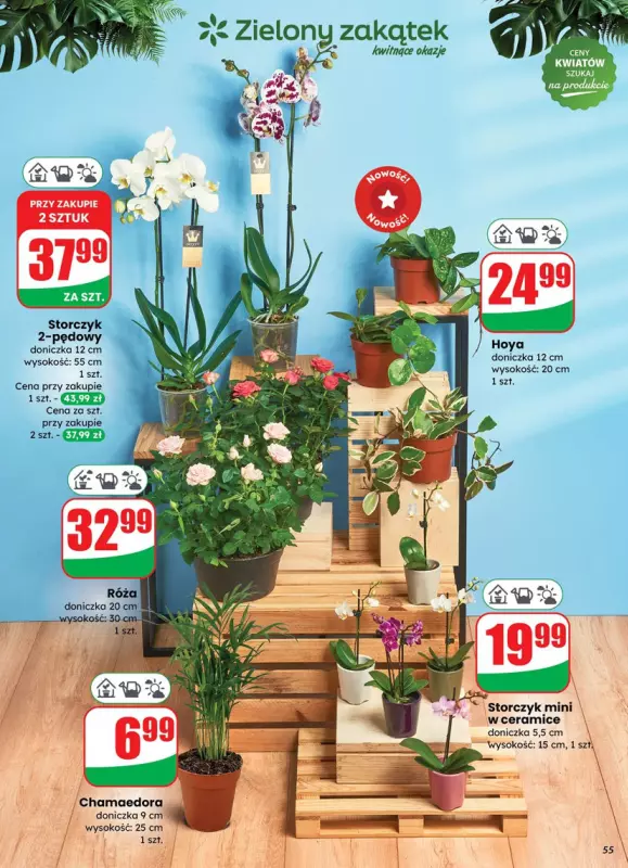 Dino - gazetka promocyjna Gazetka od środy 23.07 do wtorku 29.07 - strona 55