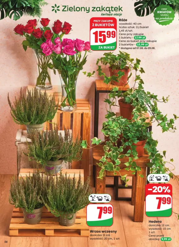 Dino - gazetka promocyjna Gazetka od środy 06.08 do wtorku 12.08 - strona 56