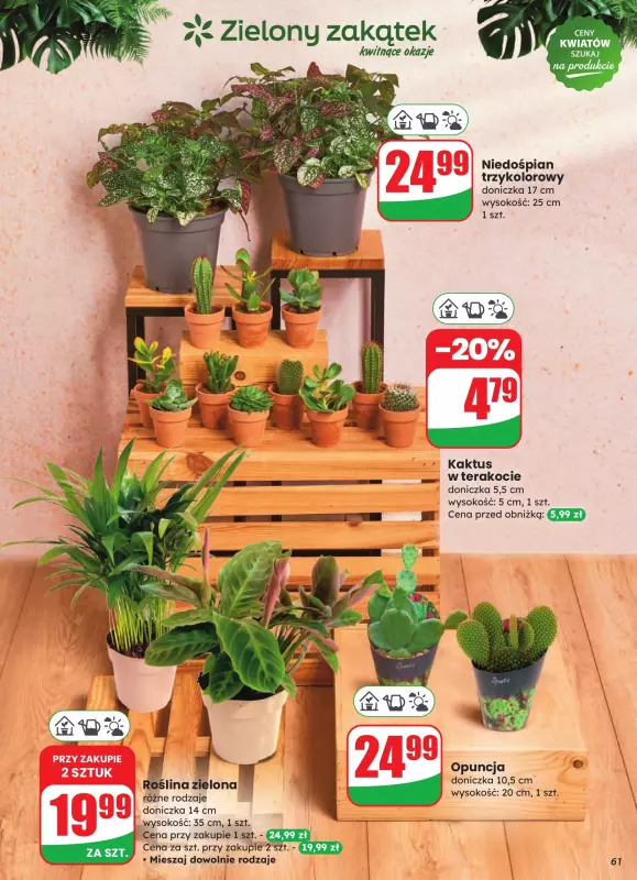 Dino - gazetka promocyjna Gazetka od środy 13.08 do wtorku 19.08 - strona 61