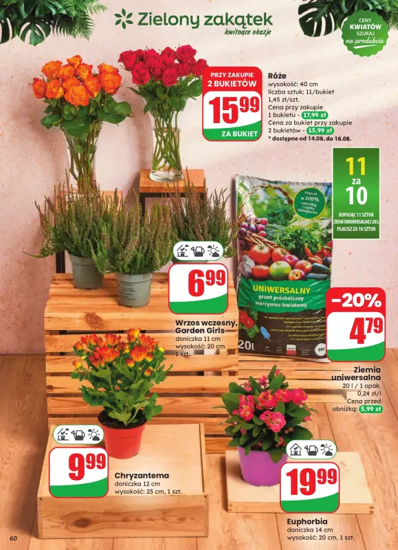 Dino - gazetka promocyjna Gazetka od środy 13.08 do wtorku 19.08 - strona 60