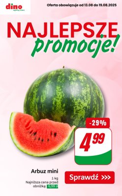 Dino - gazetka promocyjna Najlepsze PROMOCJE od środy 13.08 do wtorku 19.08
