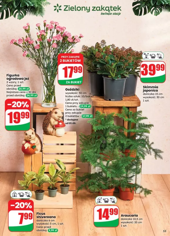 Dino - gazetka promocyjna Gazetka od środy 03.09 do wtorku 09.09 - strona 53