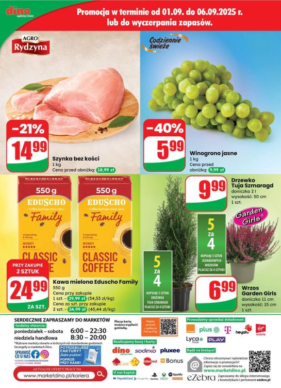 Dino - gazetka promocyjna Gazetka od środy 03.09 do wtorku 09.09 - strona 70