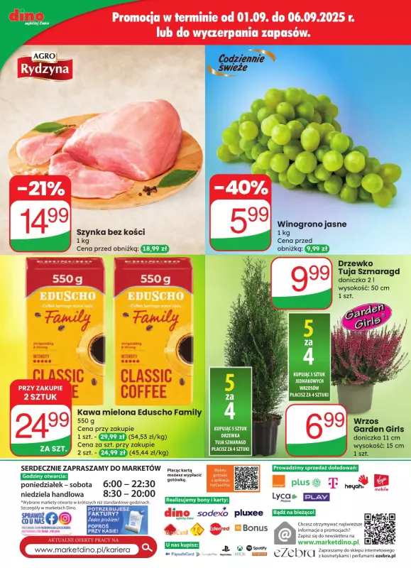 Dino - gazetka promocyjna Gazetka od środy 03.09 do wtorku 09.09 - strona 70