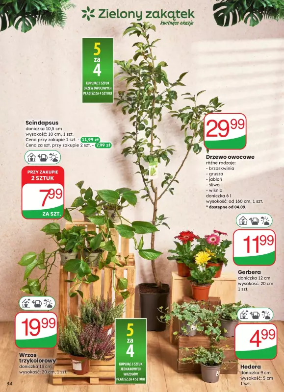 Dino - gazetka promocyjna Gazetka od środy 03.09 do wtorku 09.09 - strona 54