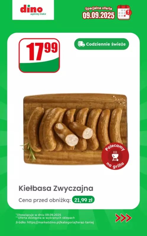 Dino - gazetka promocyjna Specjalna oferta na 09.09.2025 - promocje spoza gazetki od wtorku 09.09 do wtorku 09.09 - strona 10