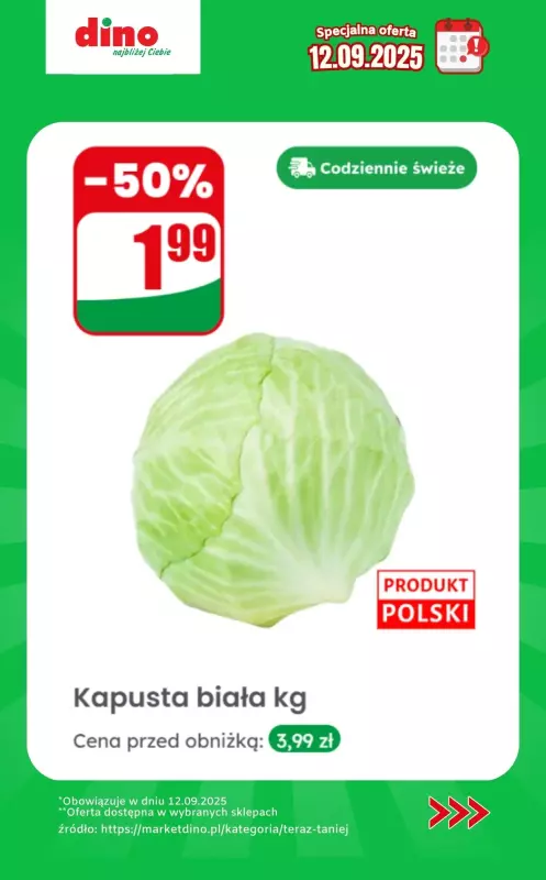 Dino - gazetka promocyjna Specjalna oferta na 12.09.2025 - promocje spoza gazetki   - strona 2
