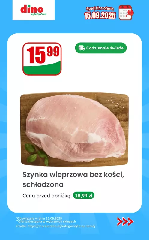 Dino - gazetka promocyjna Specjalna oferta na 15.09.2025 - promocje spoza gazetki od poniedziałku 15.09 do poniedziałku 15.09 - strona 6