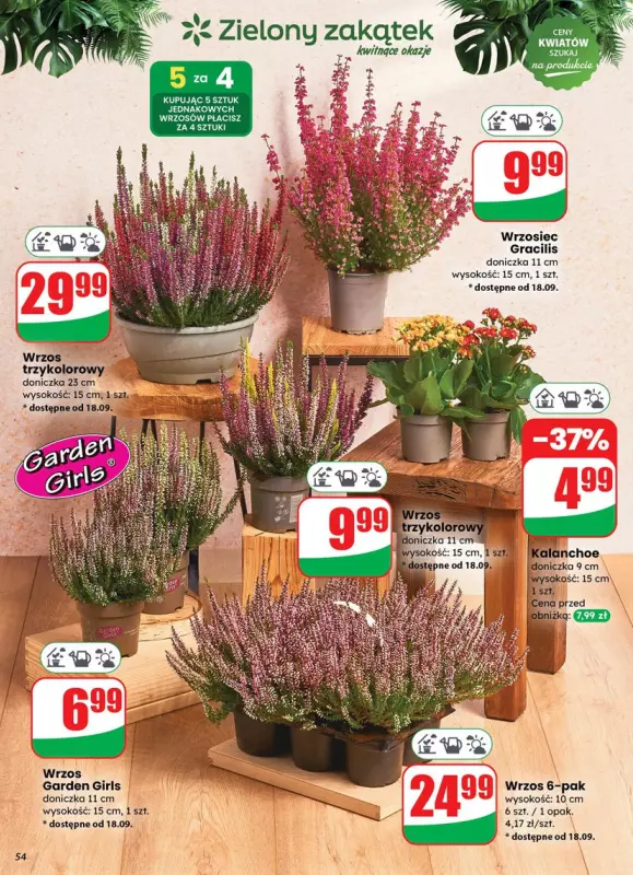 Dino - gazetka promocyjna Gazetka od środy 17.09 do wtorku 23.09 - strona 54
