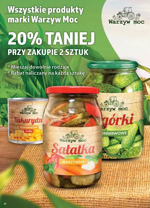 Dino - gazetka promocyjna Gazetka od środy 08.10 do wtorku 14.10 - strona 26