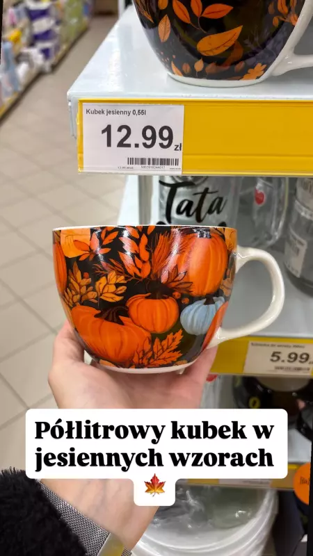 Dino - gazetka promocyjna Zakupowe Inspiracje i NOWOŚCI w Dino od środy 08.10  - strona 7