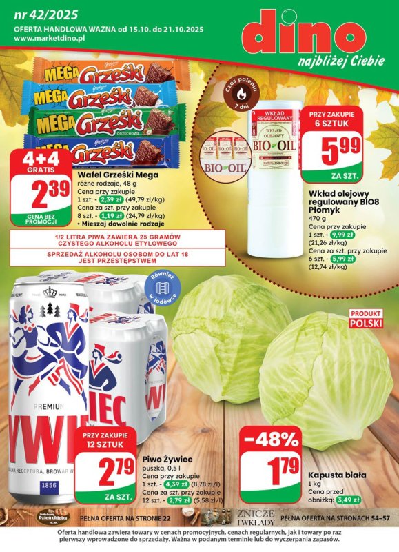 Dino - gazetka promocyjna Gazetka od środy 15.10 do wtorku 21.10